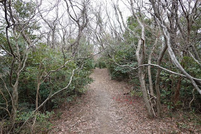 島根県松江市美保関町美保関