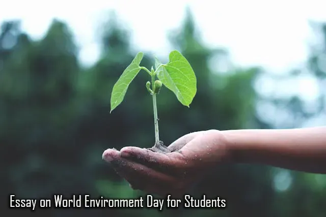 Essay on World Environment Day for Students