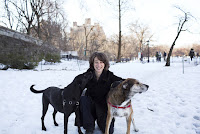 Alexandra Horowitz on how to make the world better for dogs