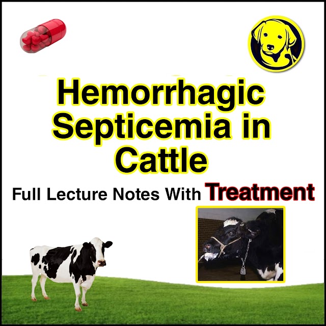 FREE Download Hemorrhagic Septicemia in Cattle