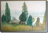 Picture5