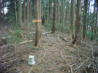 鳶ノ巣山三角点