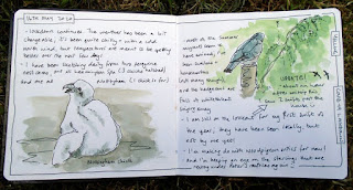 Nature journal spread 16th May