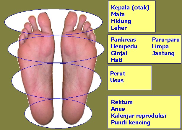 Perubatan Islam Pesona.zikr: Refleksologi