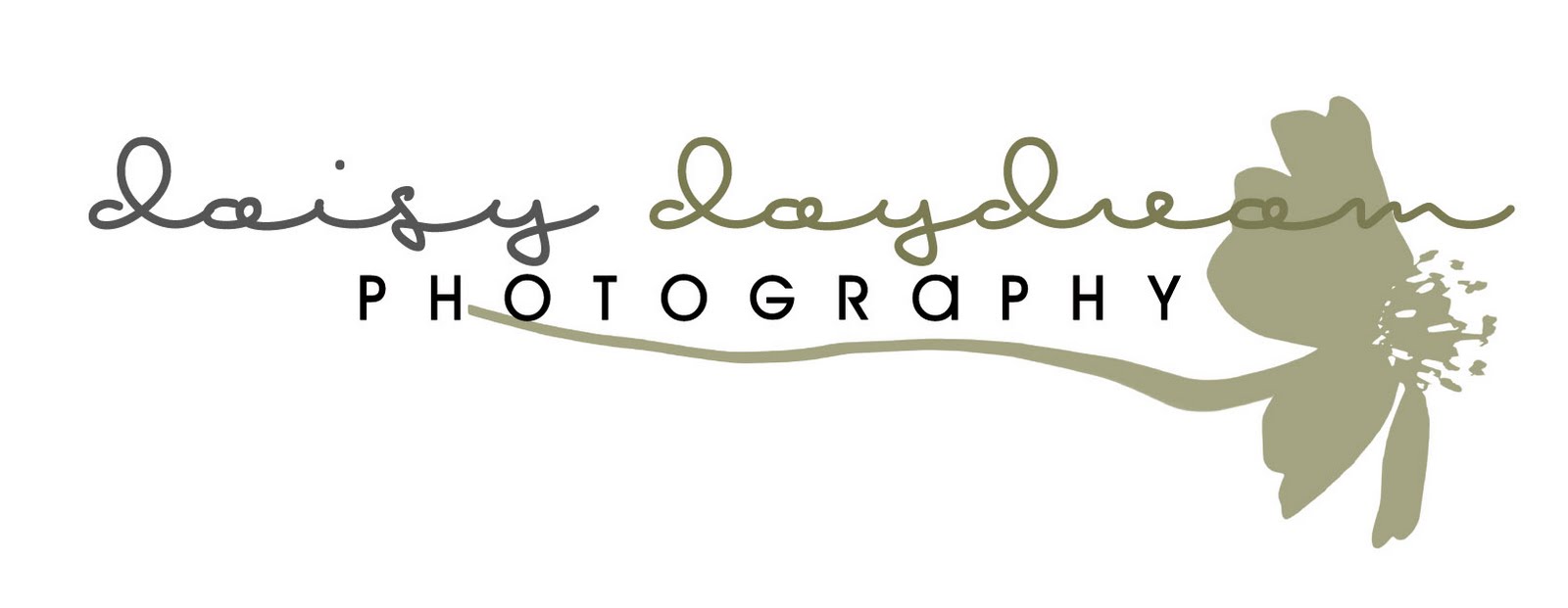 Daisy Daydream Photography