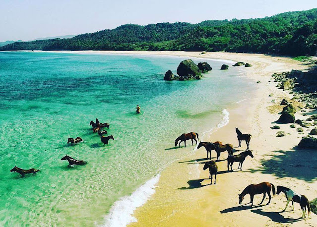 wisata pantai asal Sumba