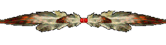 feather