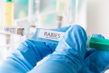 Cara Pengobatan Rabies dan Pencegahan pada Manusia dan Hewan