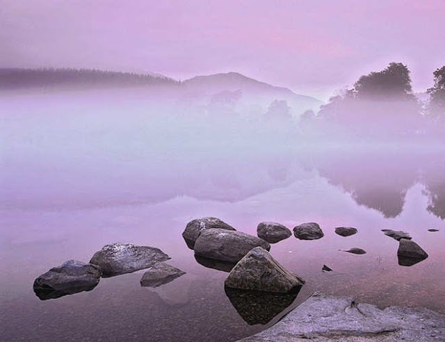 Amazing Shots Of Nature By Ian Cameron