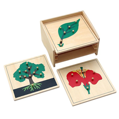 Montessori Botany Materials