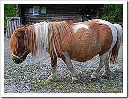 Sommaren 11 007