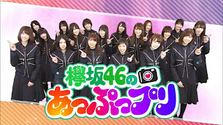 keyakizaka46 no appuppuri.jpg