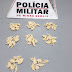 Polícia Militar prende duas mulheres e apreende quase 80 pinos de cocaína em Miraí