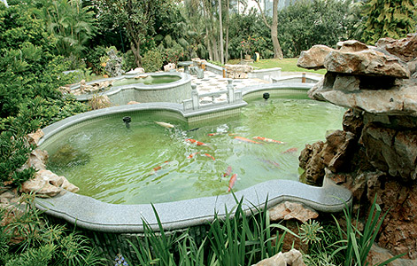 Fish Pond Landscaping