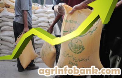 Flour price may go up by Rs 20-25 per 20kg bag 