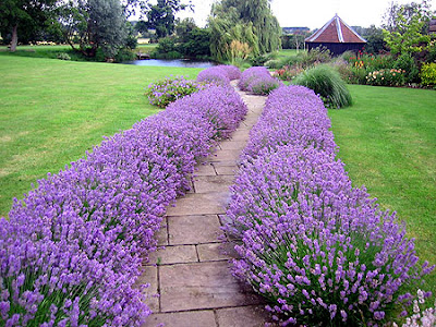 Beautiful English Garden Landscape