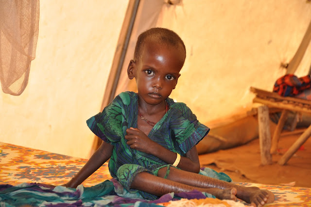 2.1 Million Kenyans Face Hunger Due to Drought, Uhuru Kenyatta Declared a National Disaster.lelemuku.com.jpg