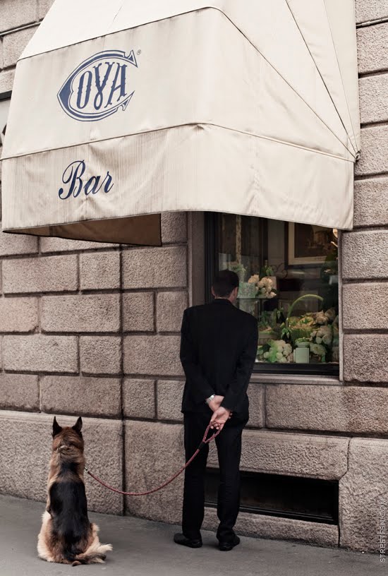 gentledog & a man _ via Monte Napoleone. Milan