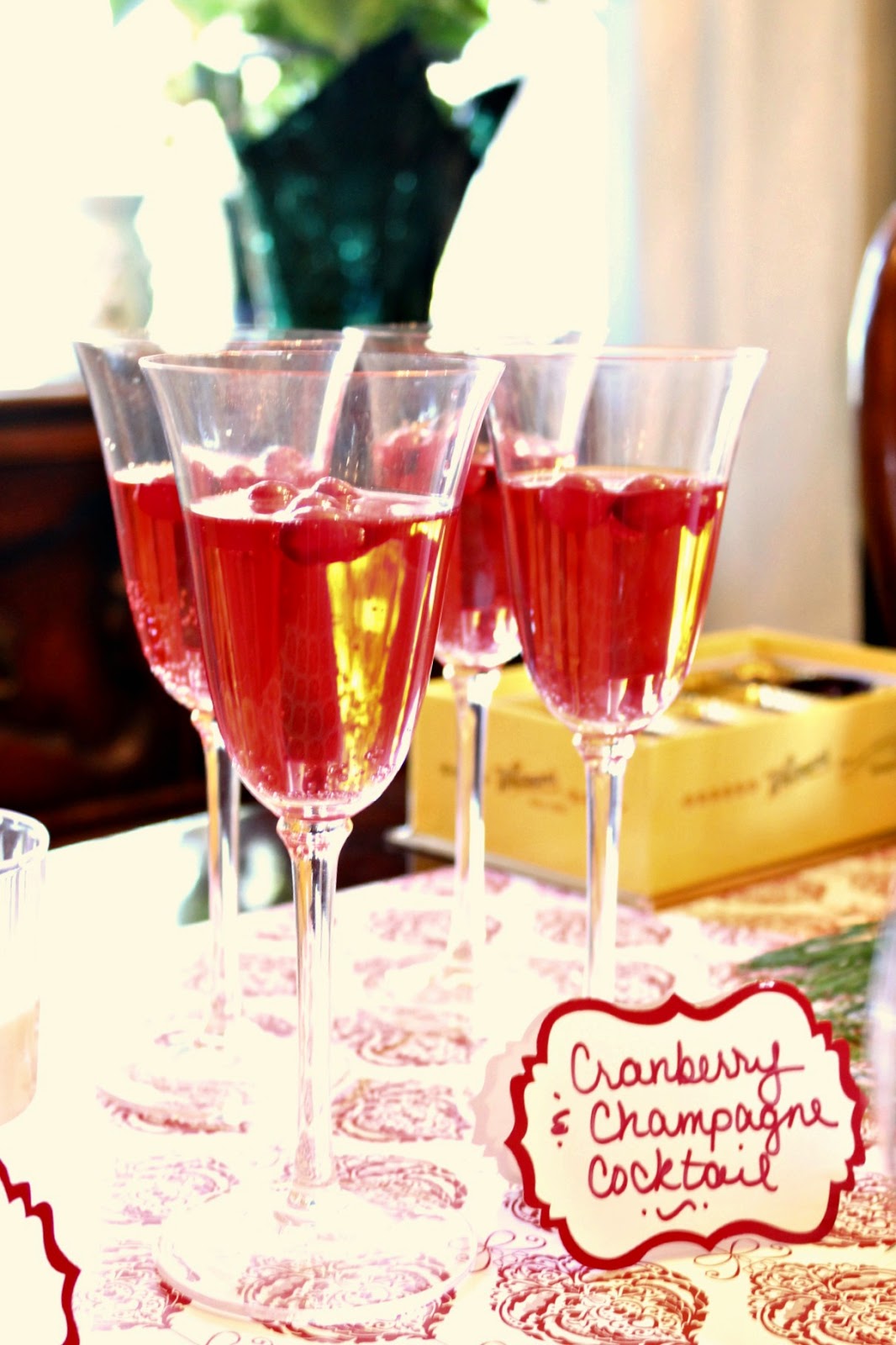 Holiday Drink: Cranberry Champagne Cocktail | Days of ...