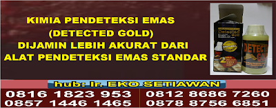 ALAT PENDETEKSI EMAS ELEKTRONIK