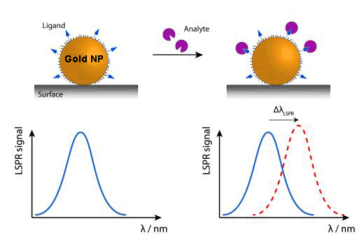 Variation of wavelength (Δλ) in nanoparticles when LSPR is produced