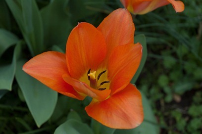 blog_DSC_0506_3