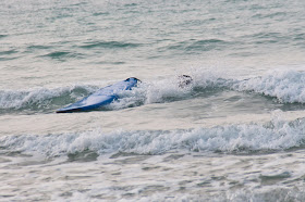 Newquay Surf