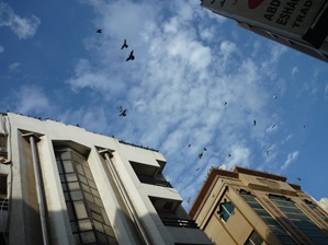 P1070146