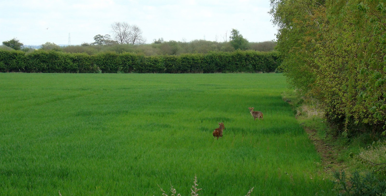 DSC07592.JPG