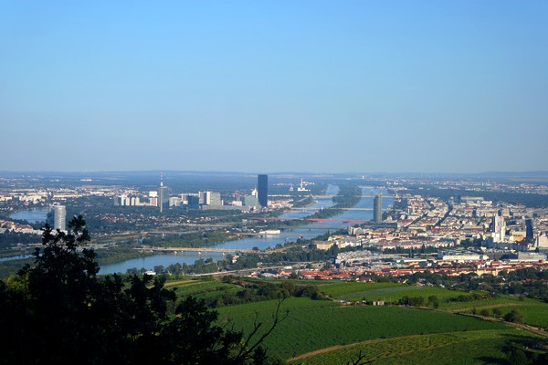 vienne döbling rando kahlenberg vignes