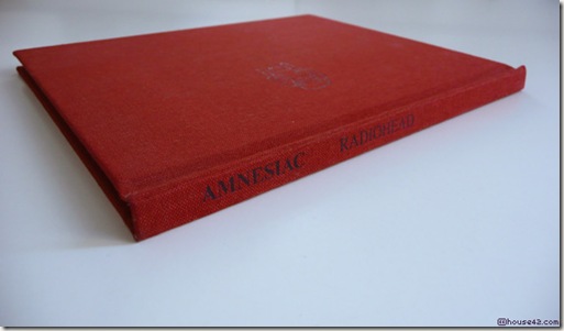 amnesiac3