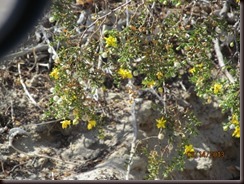 IMG_1346[1]