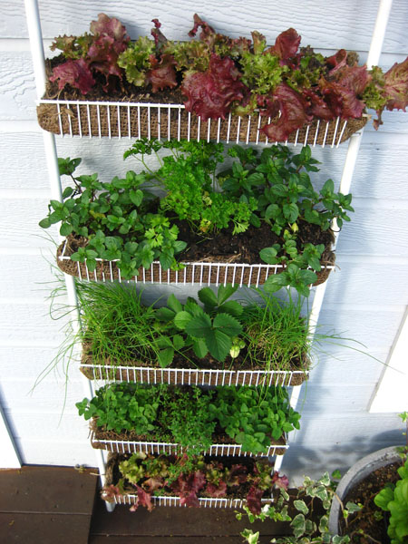 Vertical Gardener: Inspiration Wednesday: Vertical Vegetable Gardens