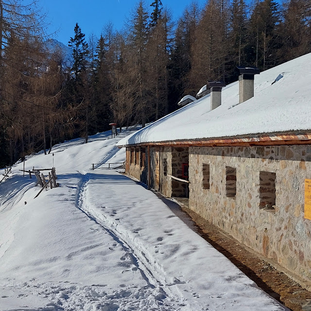 val di rabbi giro delle malghe ciaspole inverno