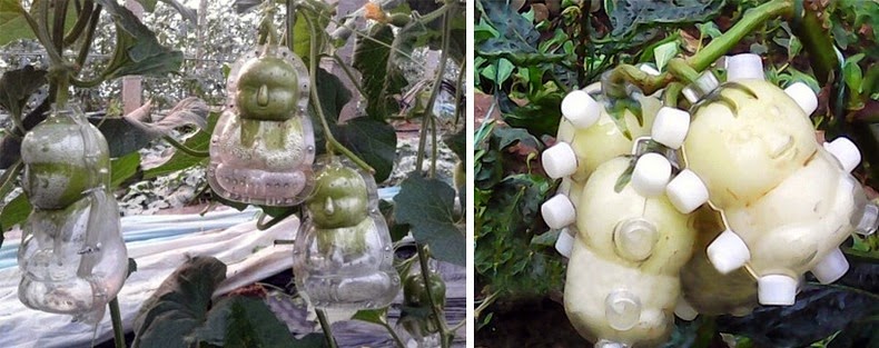fruit-mould-3 fruit-mould-3