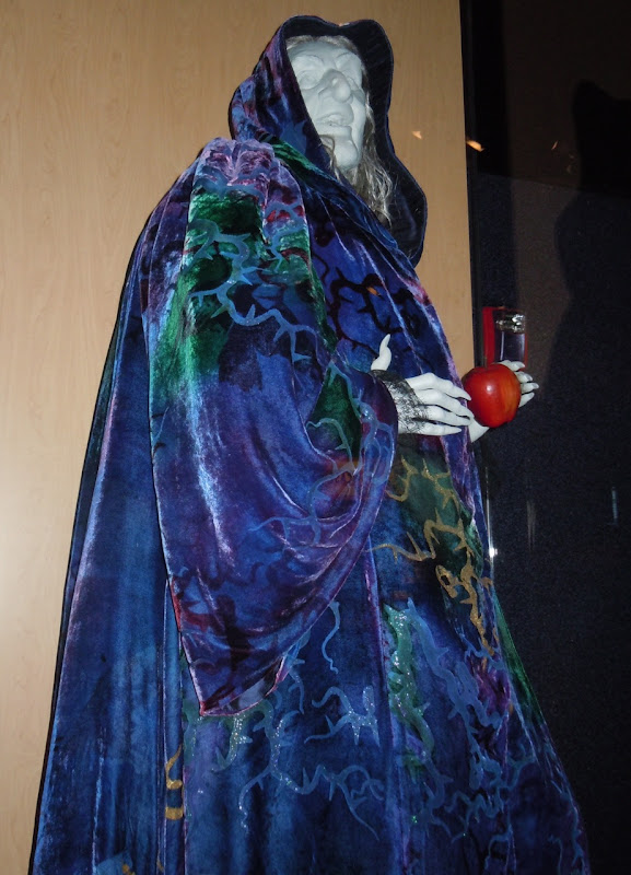 Narissa Hag Enchanted costume