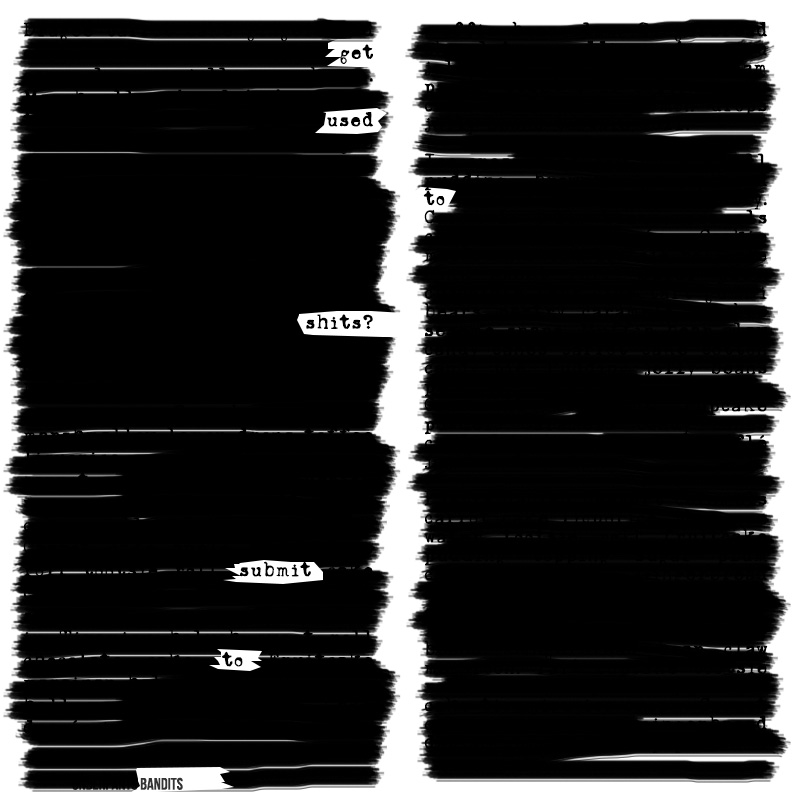 Poetry Redacted, Statements Censored