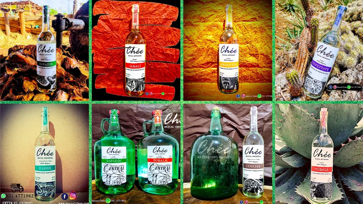 mejor mezcal del mundo