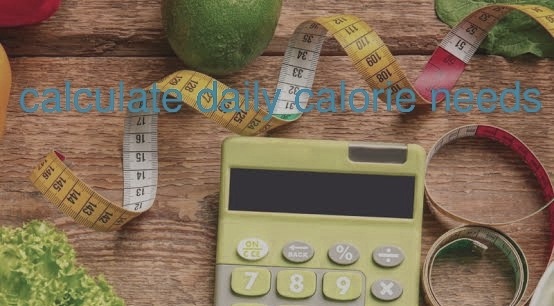 Calorie calculator: calculate your daily calorie value