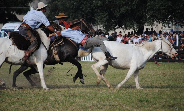 las criollas rural prado 2012