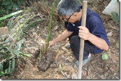 Jom berkebun 13.2.2011 043