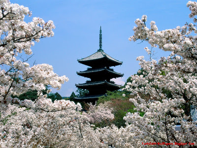 Beauty of Japan Wallpapers