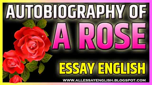 Auto Biography Of A Rose Essay In English