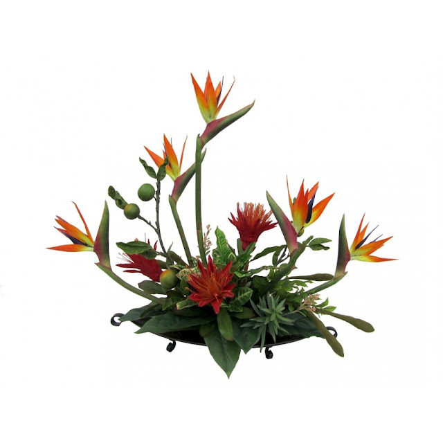 Birds Of Paradise Arrangements