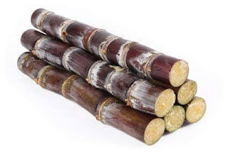 sugarcane fruits name
