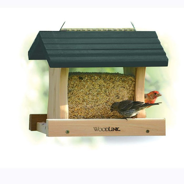 Bird Feeder Plans