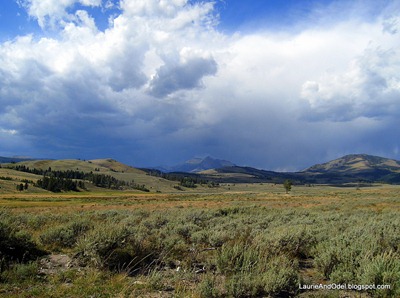A Yellowstone moment.