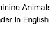 Gender In English - Feminine Animals