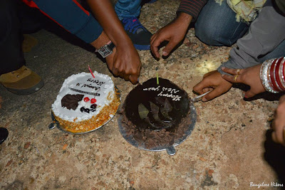 New year celebration 2015, cake cutting