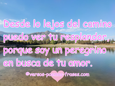 frases bonitas de amor